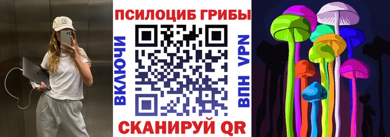 наркошоп  Олонец  Галлюциногенные грибы GOLDEN TEACHER 